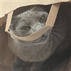 Jorunaletto's avatar