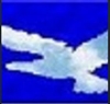 Skybaxx's avatar