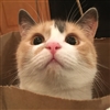 grandiose_endeavors_99's avatar