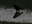 ravensinastorm's avatar