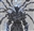 NotSpartan's avatar