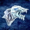 Iceycat's avatar