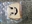Dndpotatoe's avatar