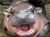 DaHardWun's avatar
