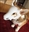 LaserGlue's avatar