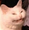 Cotton_Tail's avatar