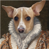 Bandie's avatar