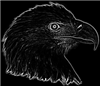 Krow2211's avatar