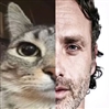 taylorzimm's avatar