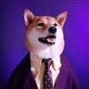 SupremeCort's avatar