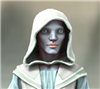 HammerShade's avatar