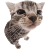 MamaBlicky's avatar
