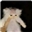 ToiletDestroyer17's avatar