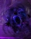 Cadrig's avatar