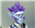 LuciTheCrowe's avatar