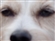 Abehp's avatar
