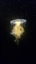 RMann69666's avatar
