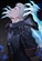Nikcantsnipe's avatar