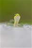NCFishboy89's avatar