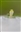 NCFishboy89's avatar