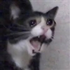 Trabbor's avatar