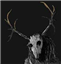 Jynxed_666's avatar