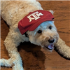 Im_A_Doggo's avatar