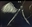 Xenocdm's avatar