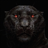 PapaWeave's avatar