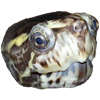 DMJaymon's avatar