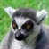 ChaoticEd's avatar