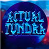 ActualTundra's avatar