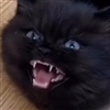 AlbertWasabi's avatar