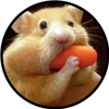 EvyKing's avatar