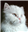 Sablemane's avatar
