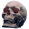 Towlbear's avatar
