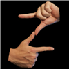 Zylander's avatar