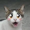 ReeKorl's avatar