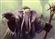 GarnZ1130's avatar