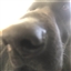 Zyt_Luzamee's avatar