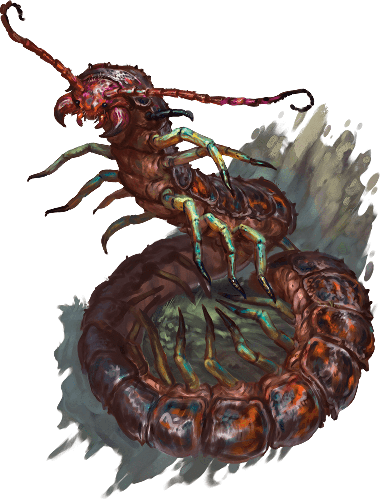 Giant Centipede