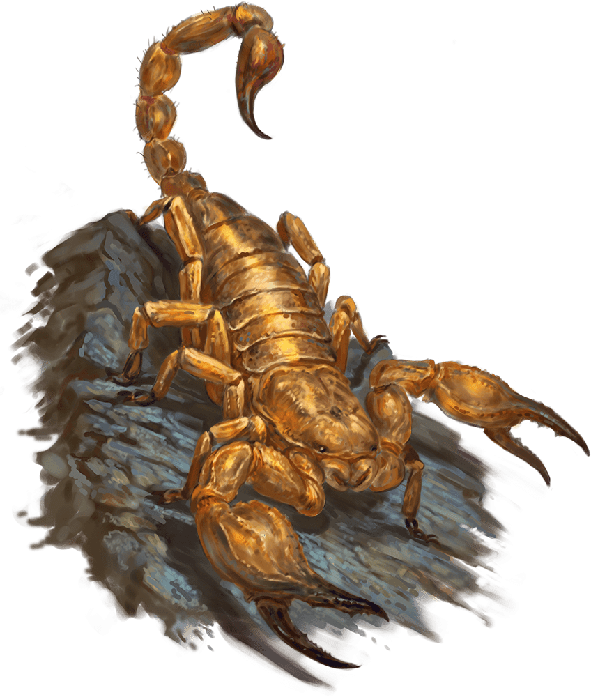 Giant Scorpion