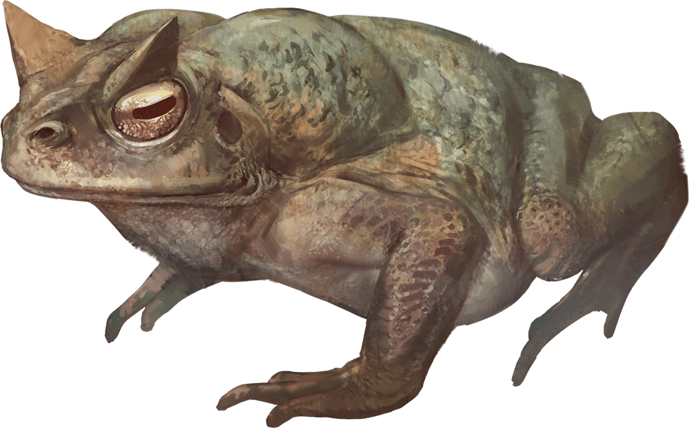 Giant Toad
