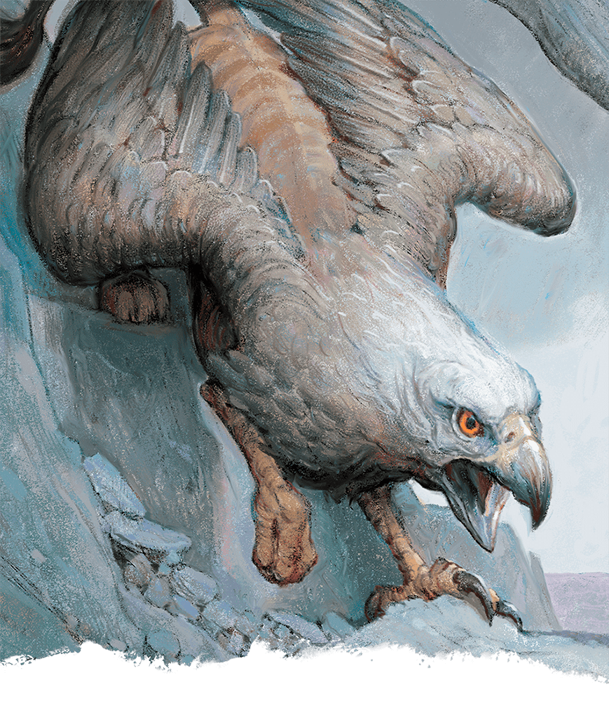 Griffon