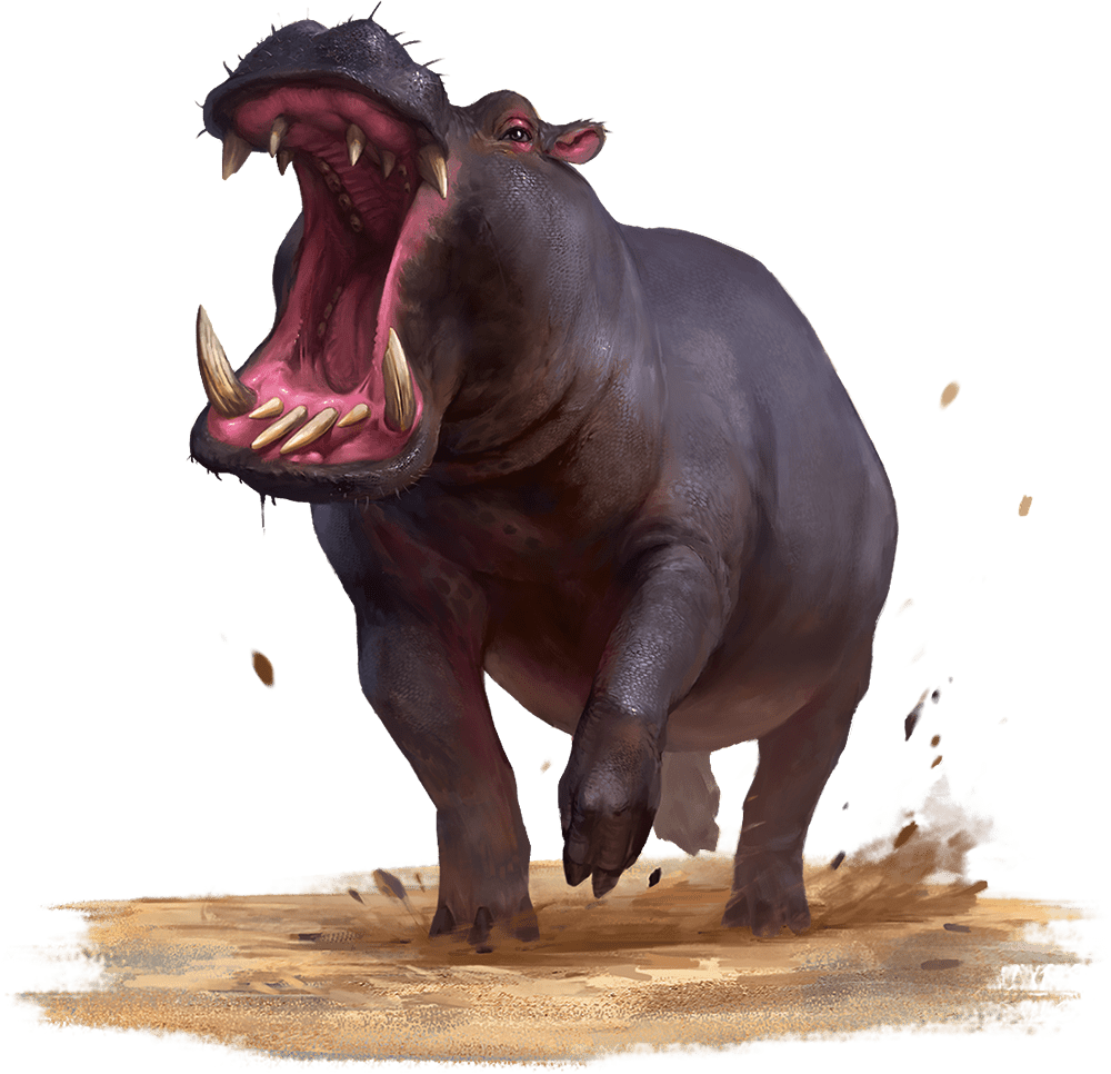 Hippopotamus monsters d d beyond