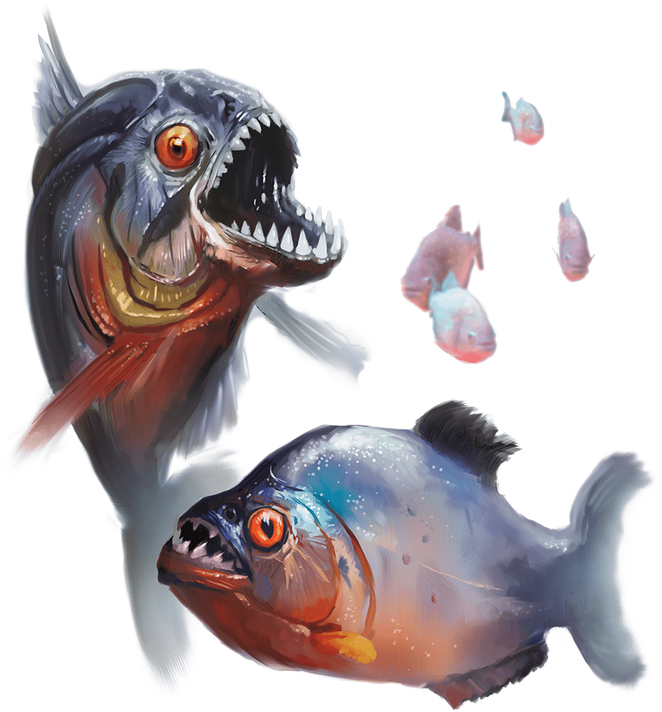 Piranha