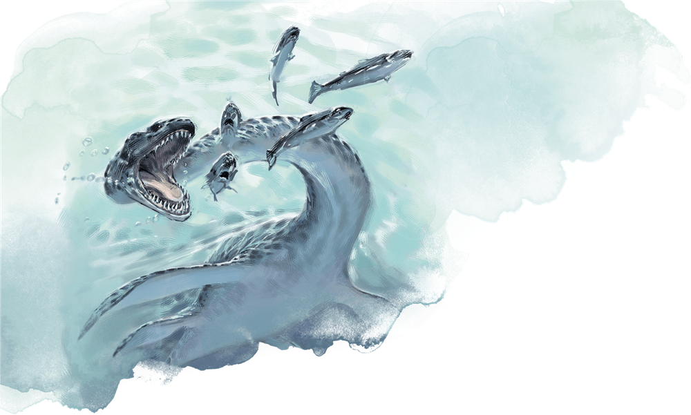 Plesiosaurus