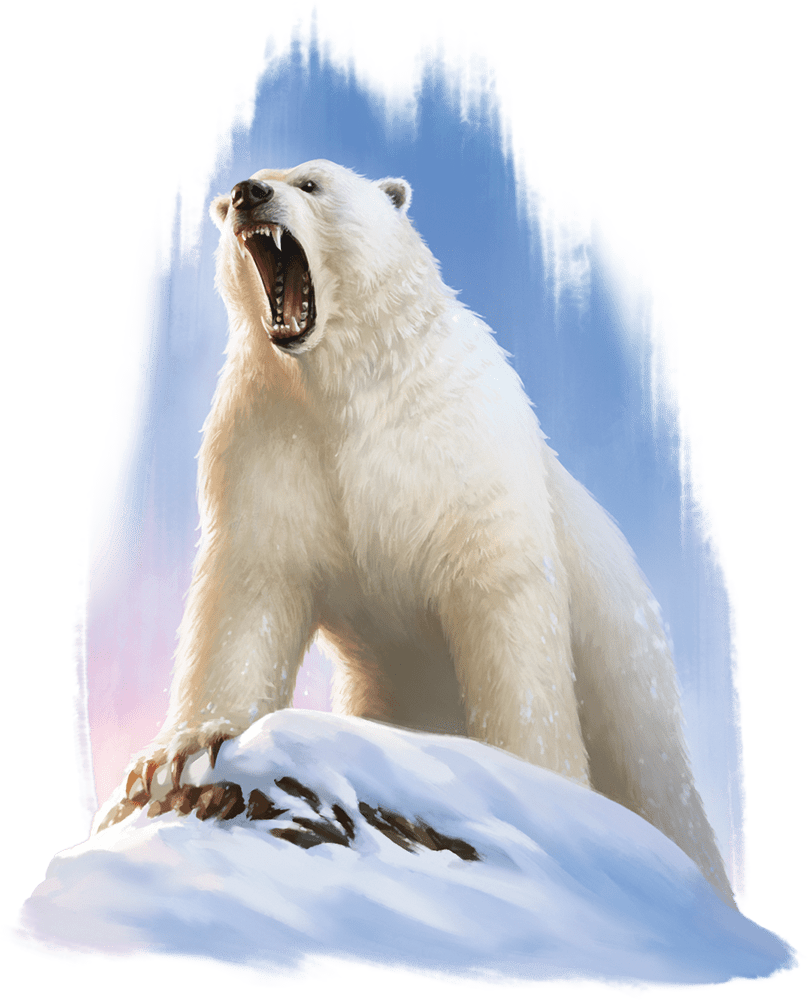 Polar Bear
