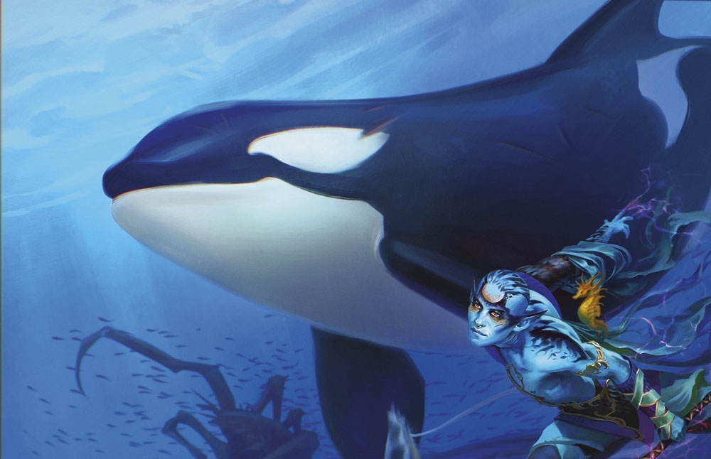 Killer Whale
