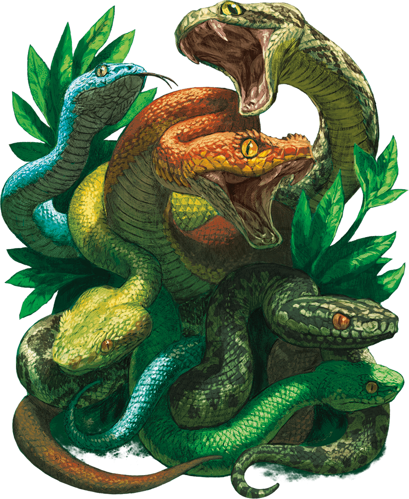 Swarm of Venomous Snakes